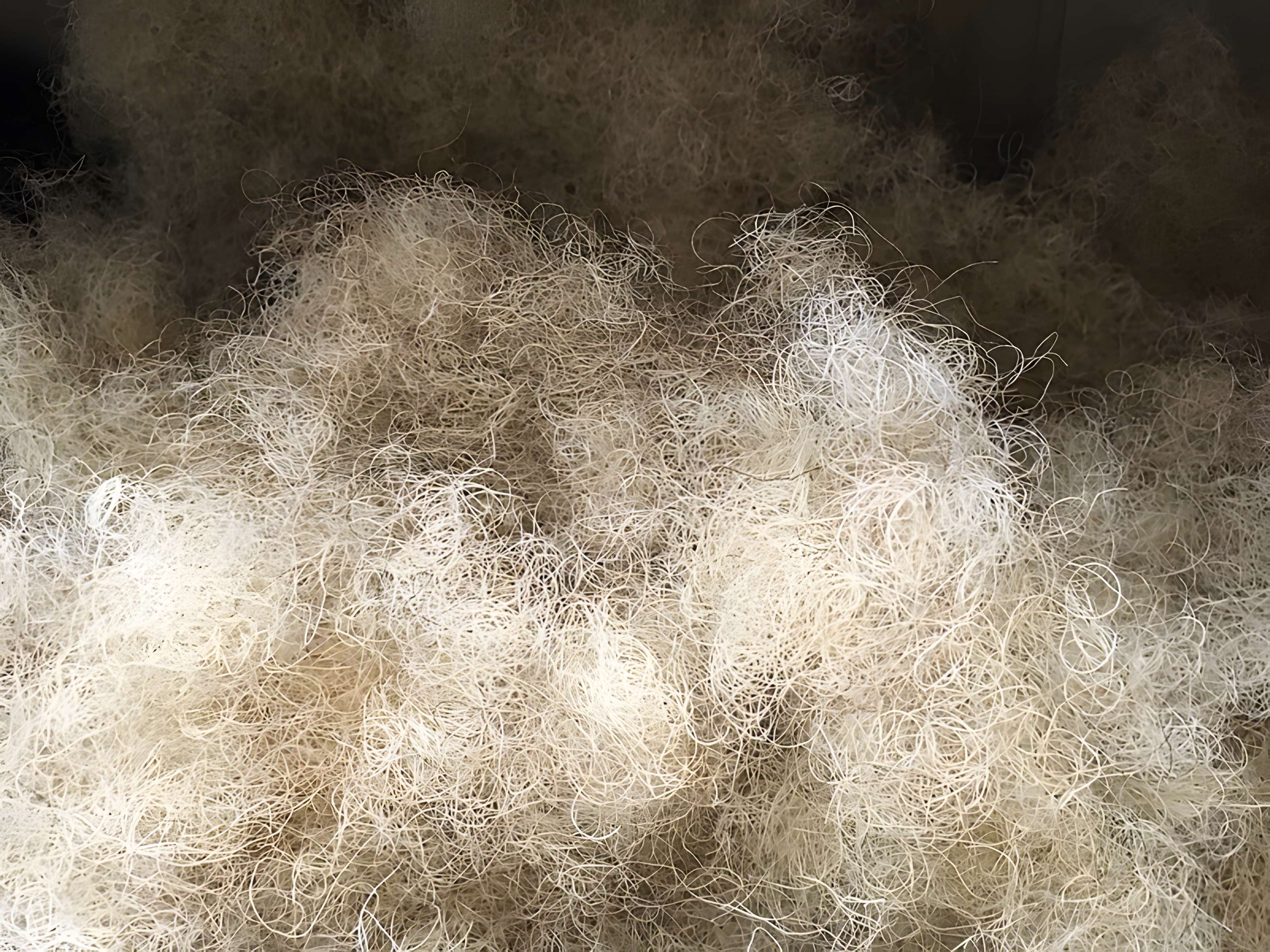 Mobilier national à Paris