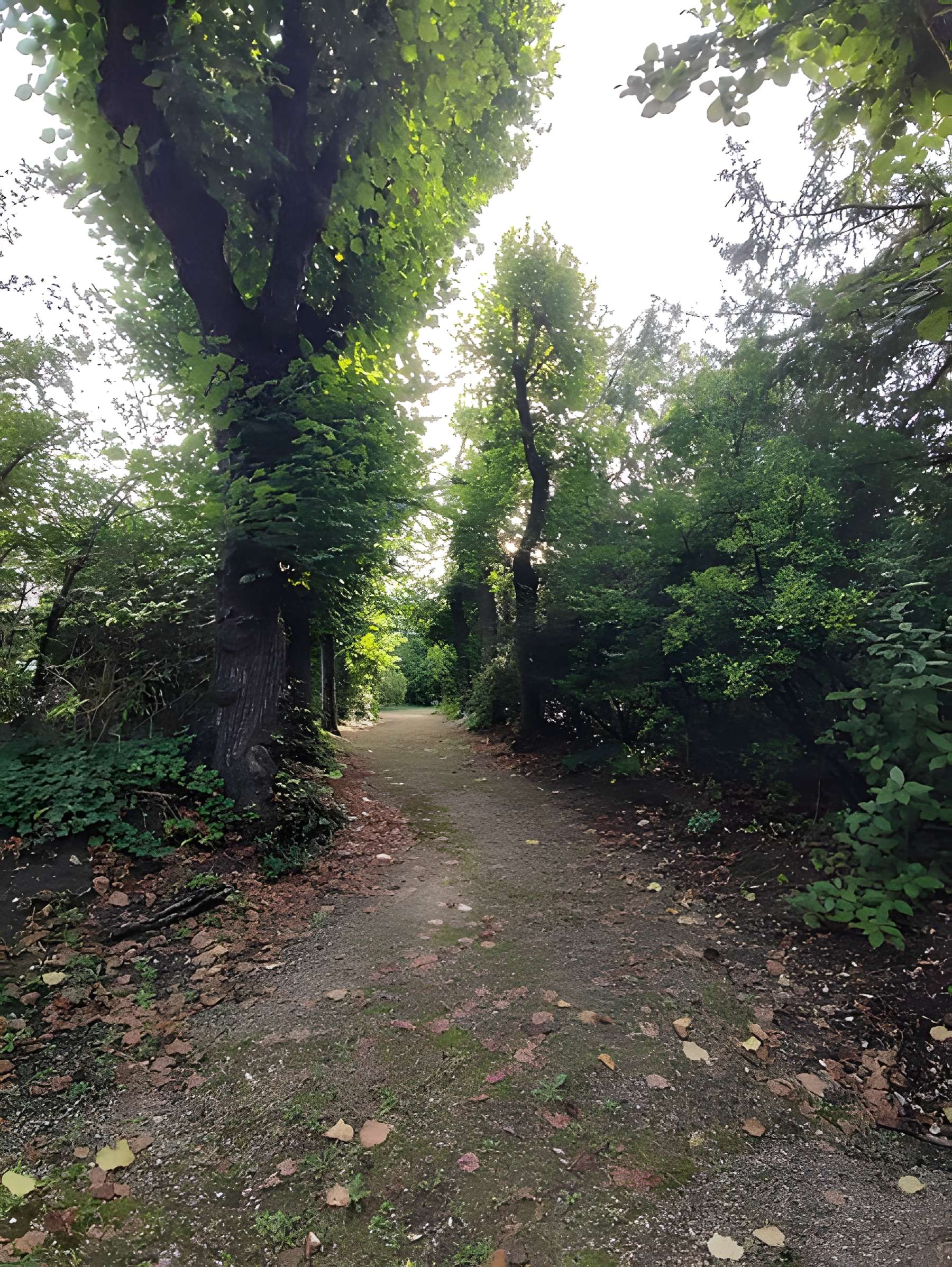 Observatoire de Paris