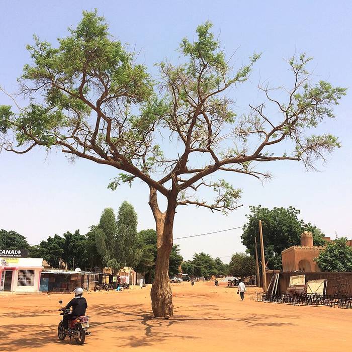 Photo de Ancien siège social Canal + - Paris 15ème