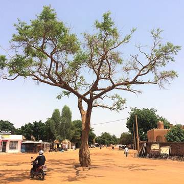 Ancien siège social Canal + - Paris 15ème
