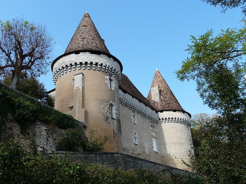 Photo de Château de Mauriac à Douzillac