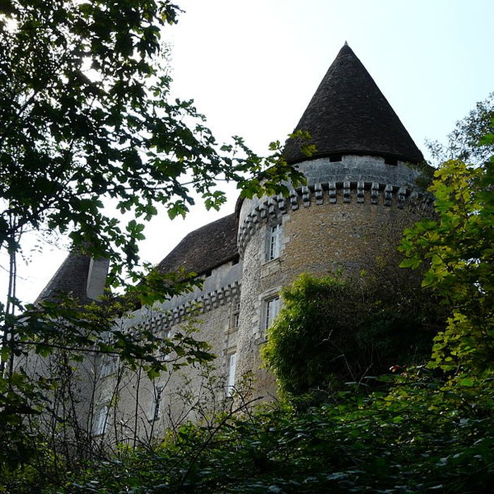 Photo de Château de Mauriac à Douzillac