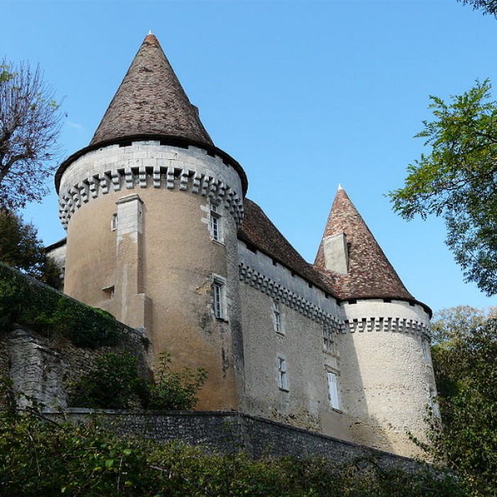 Photo de Château de Mauriac à Douzillac