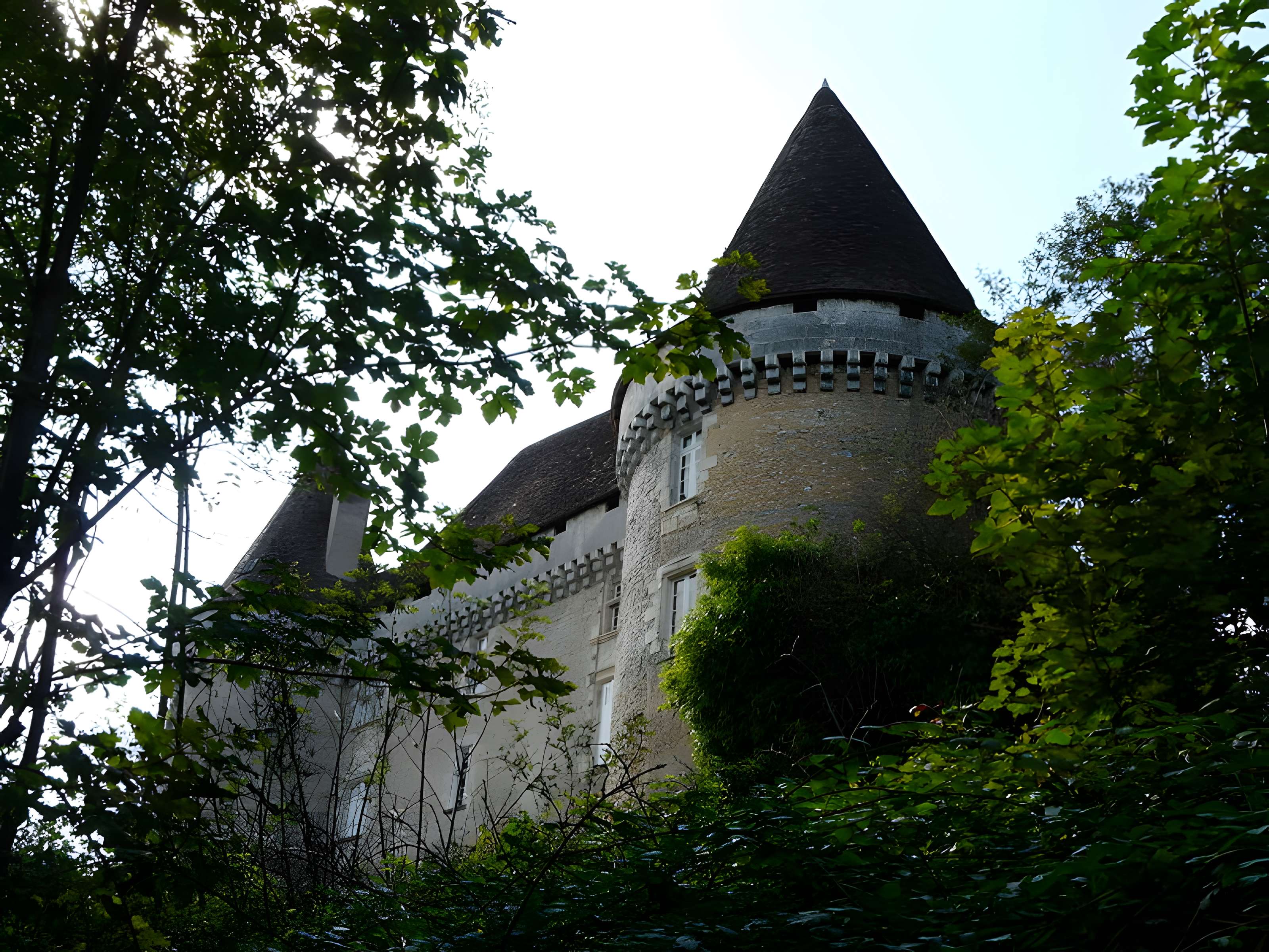 Château de Mauriac à Douzillac