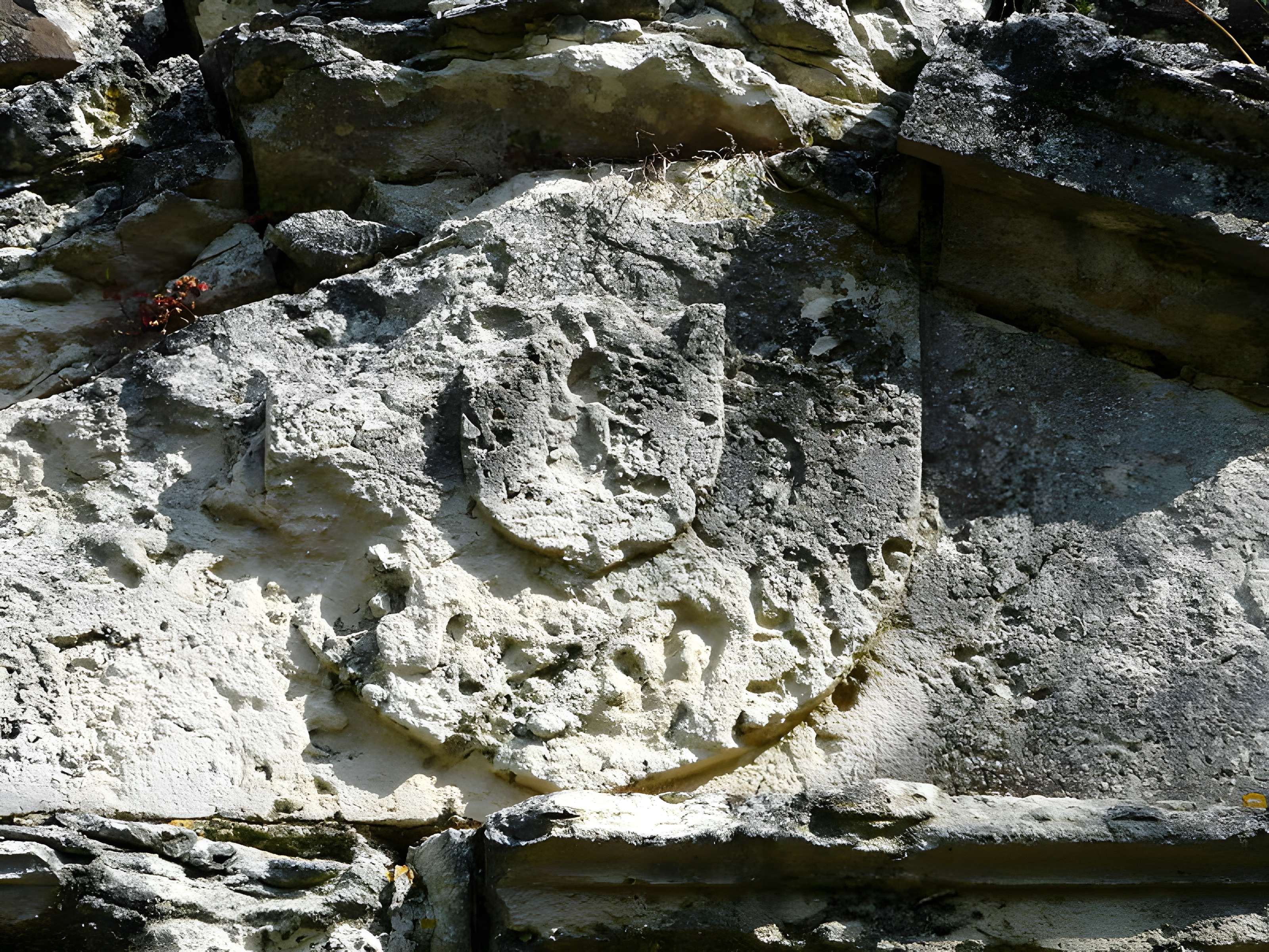 Château de Mauriac à Douzillac