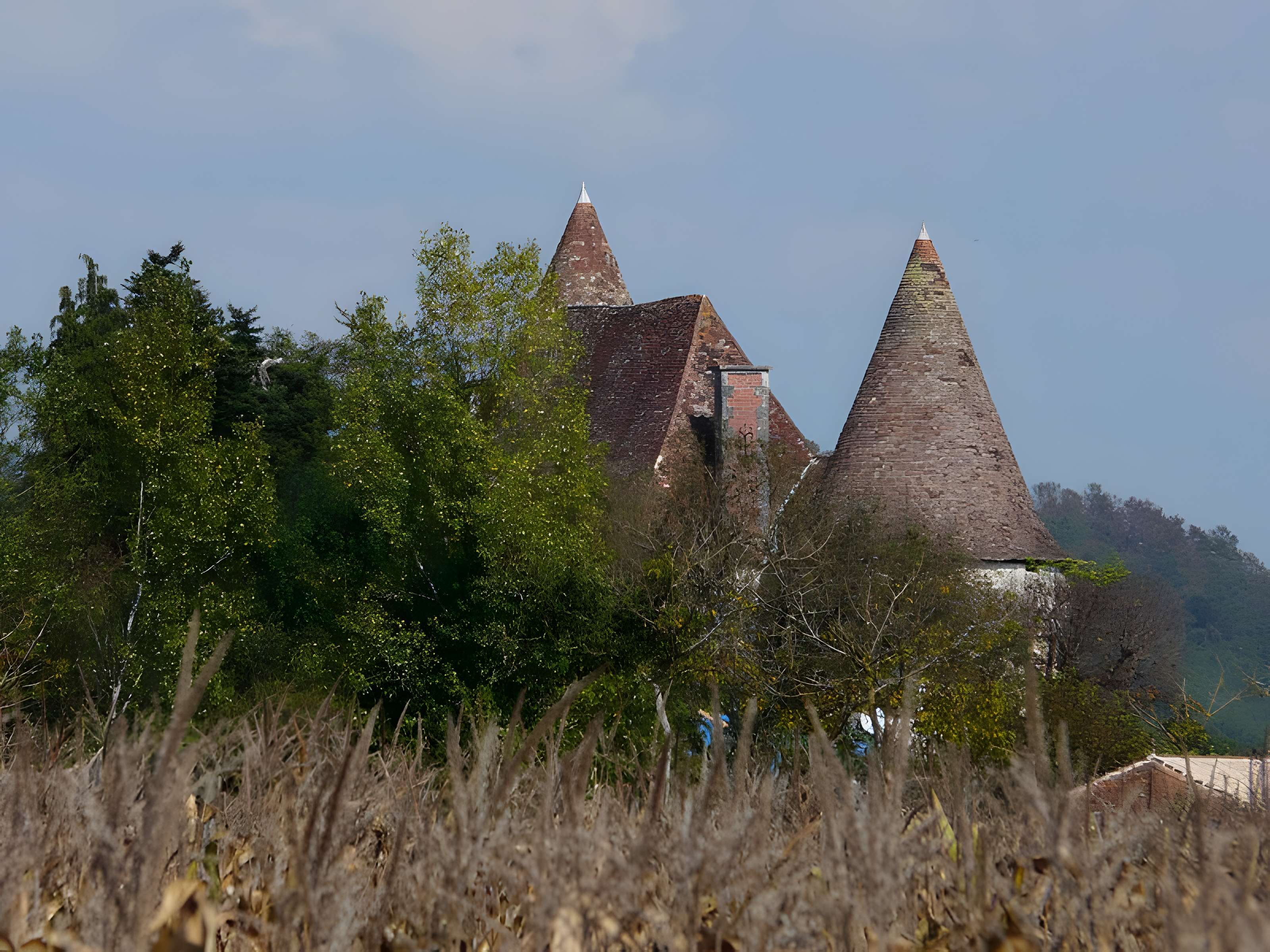 Château de Mauriac à Douzillac