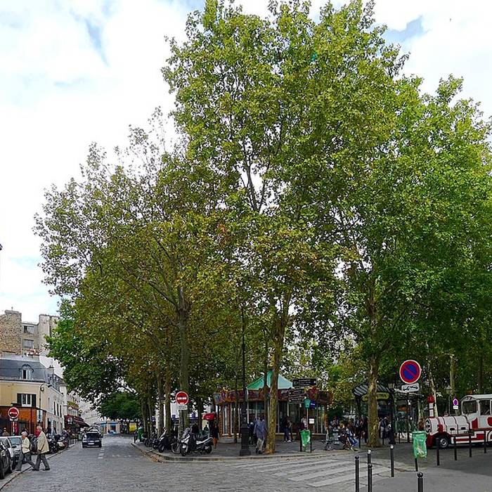 Photo de Édicule Guimard de la station Abbesses - Paris 18ème