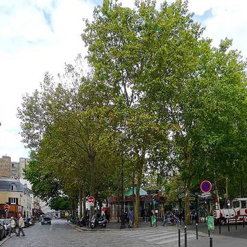 Édicule Guimard de la station Abbesses - Paris 18ème
