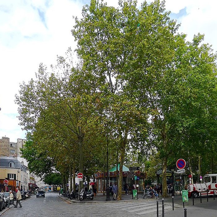 Photo de Édicule Guimard de la station Place de Clichy - Paris 18ème