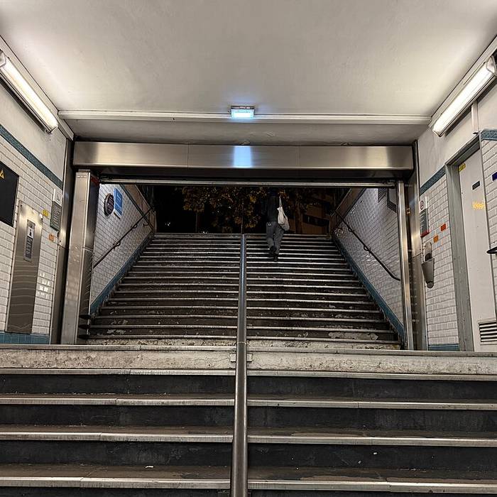 Photo de Édicule Guimard de la station Botzaris - Paris 19ème