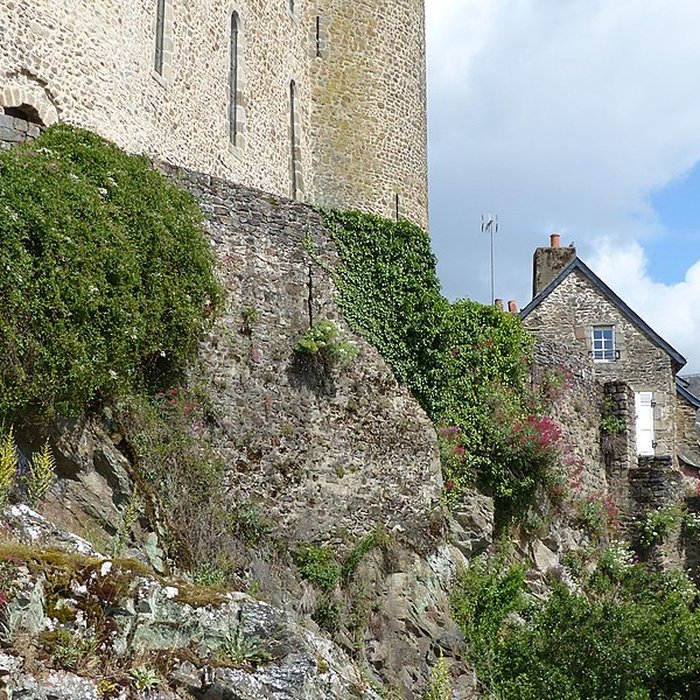 Photo de Château de Mayenne 