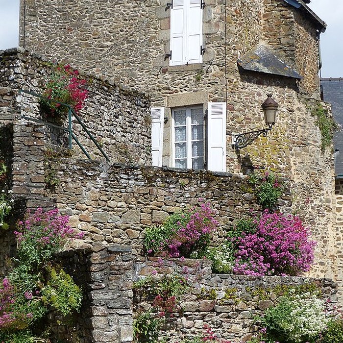 Photo de Château de Mayenne 
