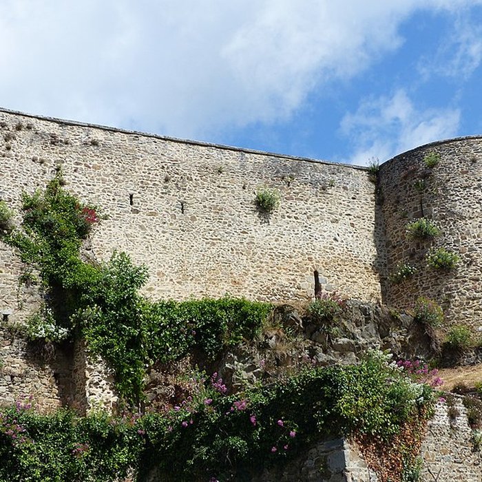 Photo de Château de Mayenne 
