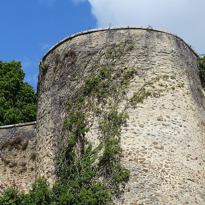 Photo de Château de Mayenne 