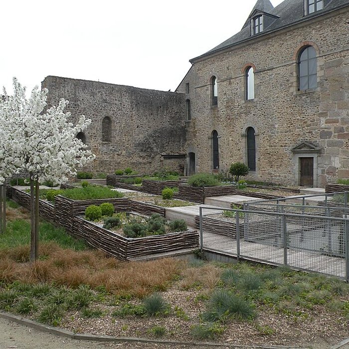 Photo de Château de Mayenne 