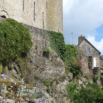 Château de Mayenne  
