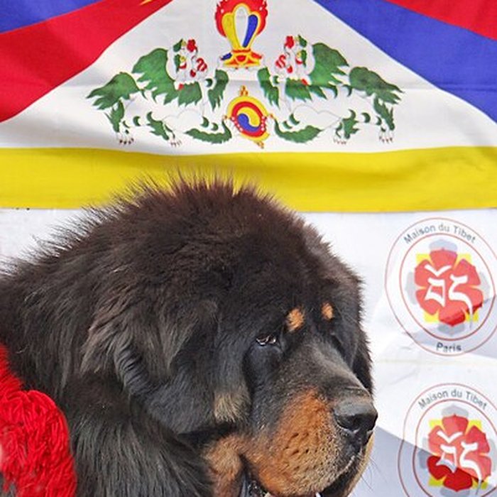 Photo de Pavillons du Togo et du Cameroun issus de lexposition coloniale internationale de 1931