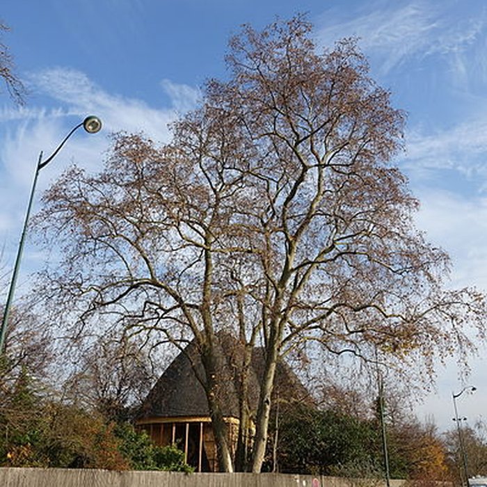 Photo de Pavillons du Togo et du Cameroun issus de lexposition coloniale internationale de 1931