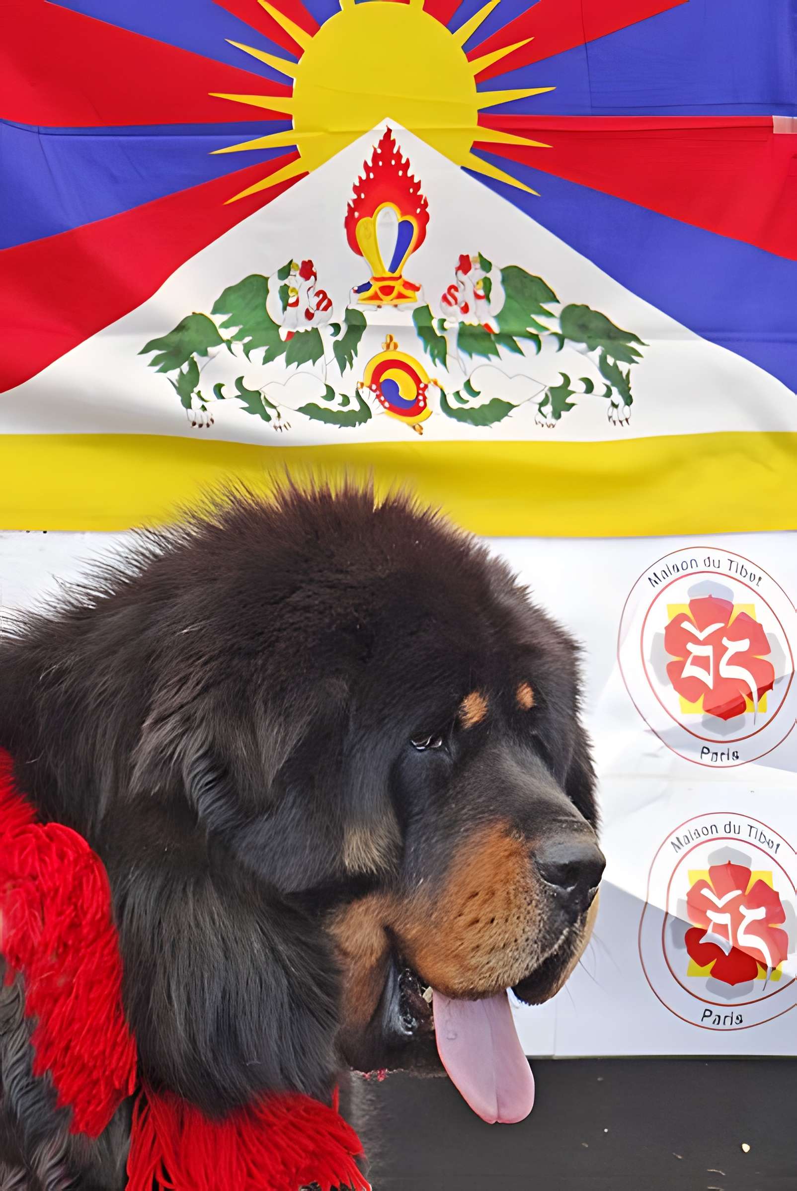 Pavillons du Togo et du Cameroun issus de l'exposition coloniale internationale de 1931