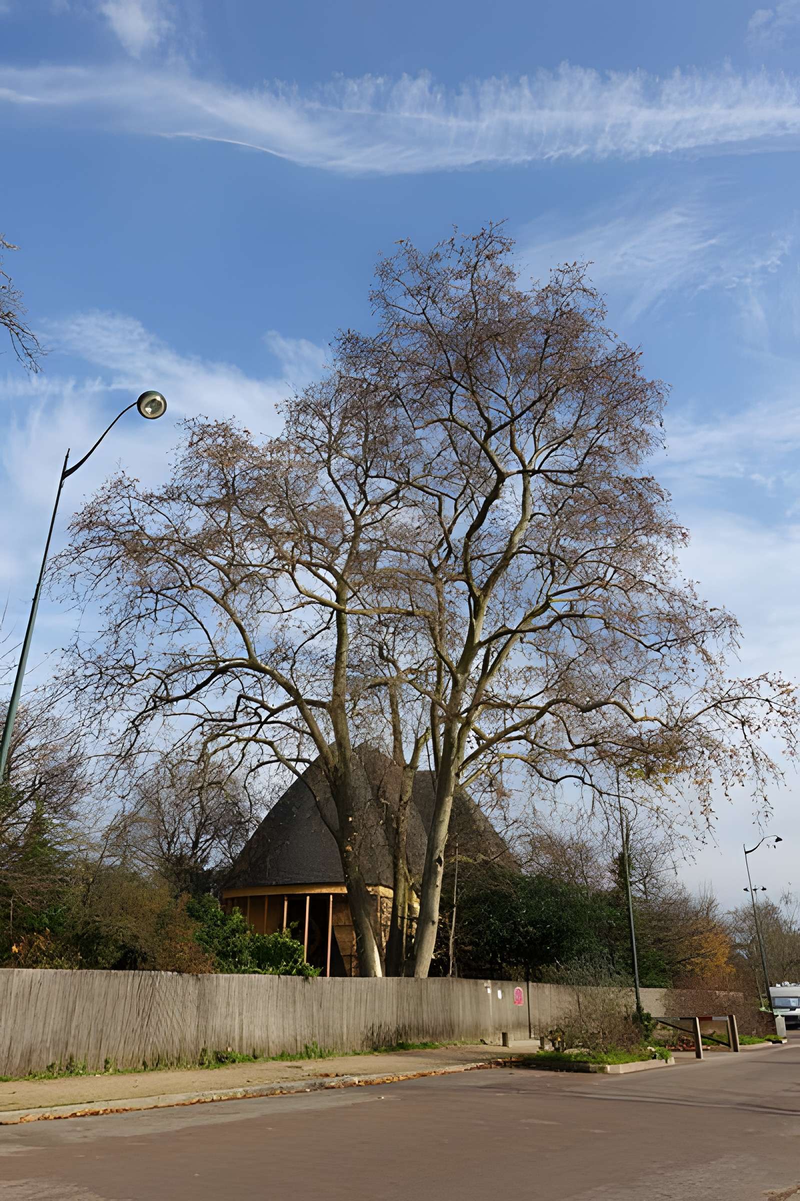 Pavillons du Togo et du Cameroun issus de l'exposition coloniale internationale de 1931