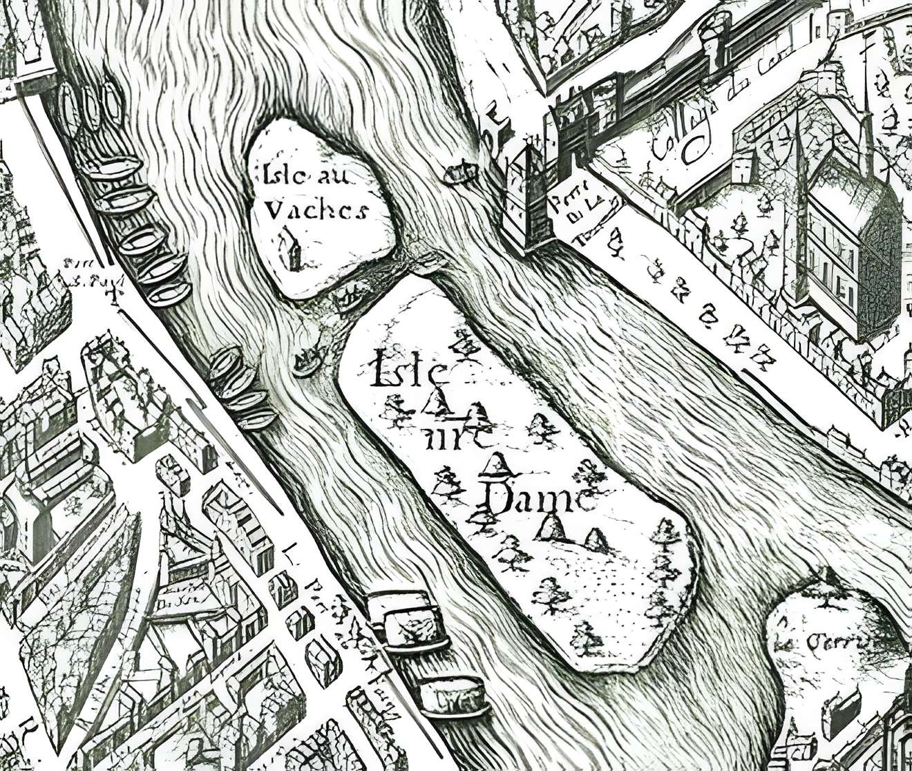 Île Saint-Louis à Paris L'île aux Vaches et l'île Notre-Dame sur le plan de Vassalieu de1609