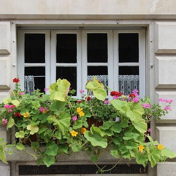 Place Dauphine : le sol