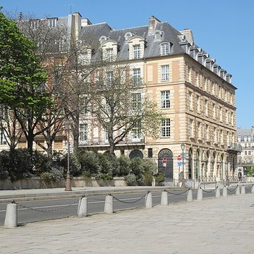 Place Dauphine : le sol
