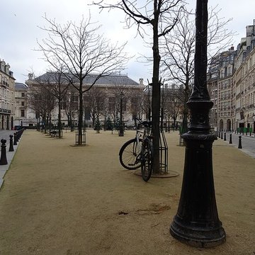 Place Dauphine : le sol