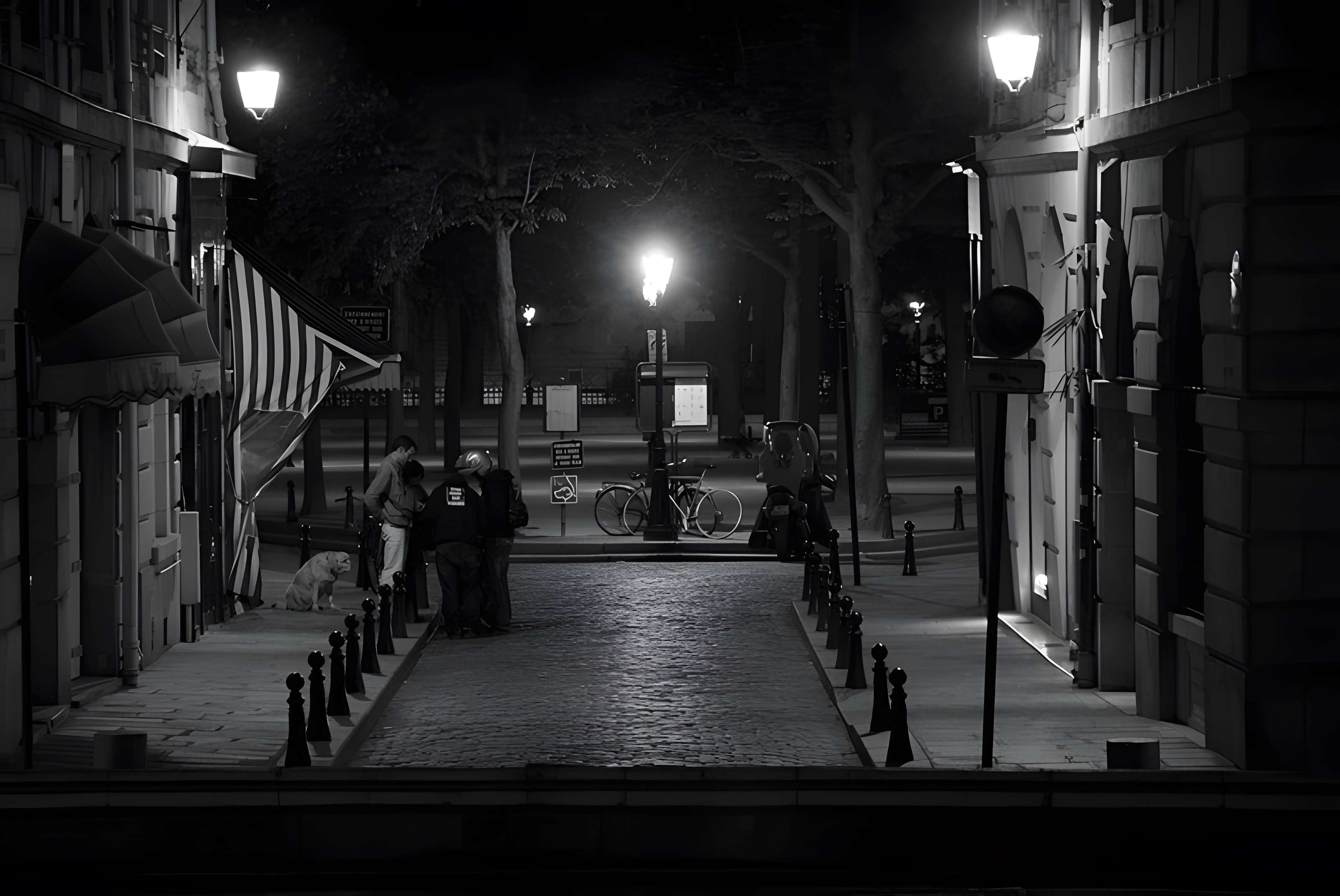 Place Dauphine : le sol