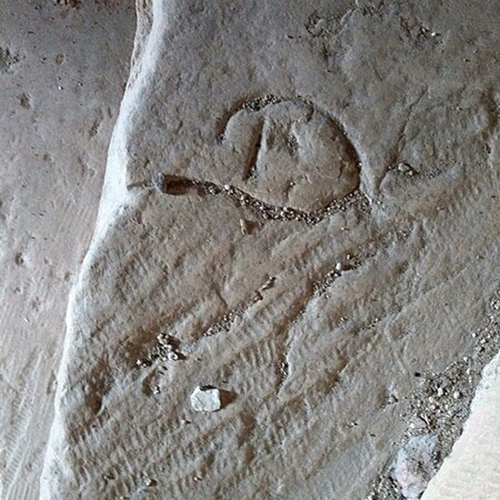 Photo de Château de Meauce