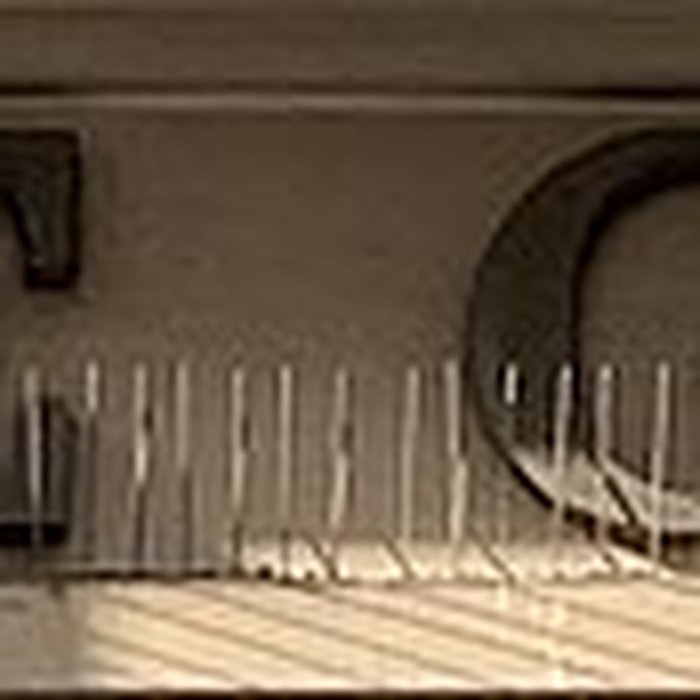 Photo de Galerie Colbert - Paris 2ème