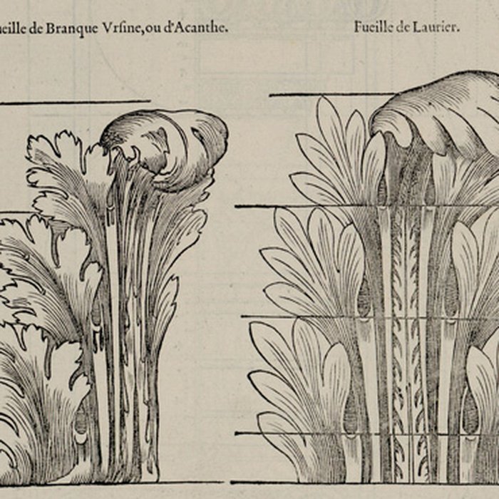 Photo de Galerie Colbert - Paris 2ème