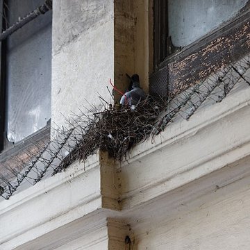 Passage Molière - Paris 3éme
