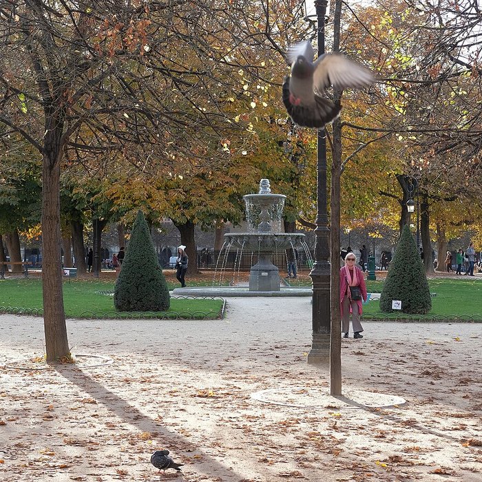 Photo de Place des Vosges à Paris
