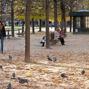 Place des Vosges à Paris
