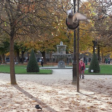 Place des Vosges à Paris