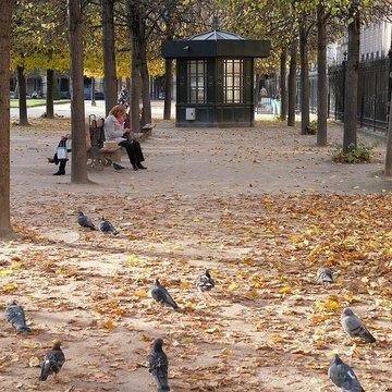Place des Vosges à Paris