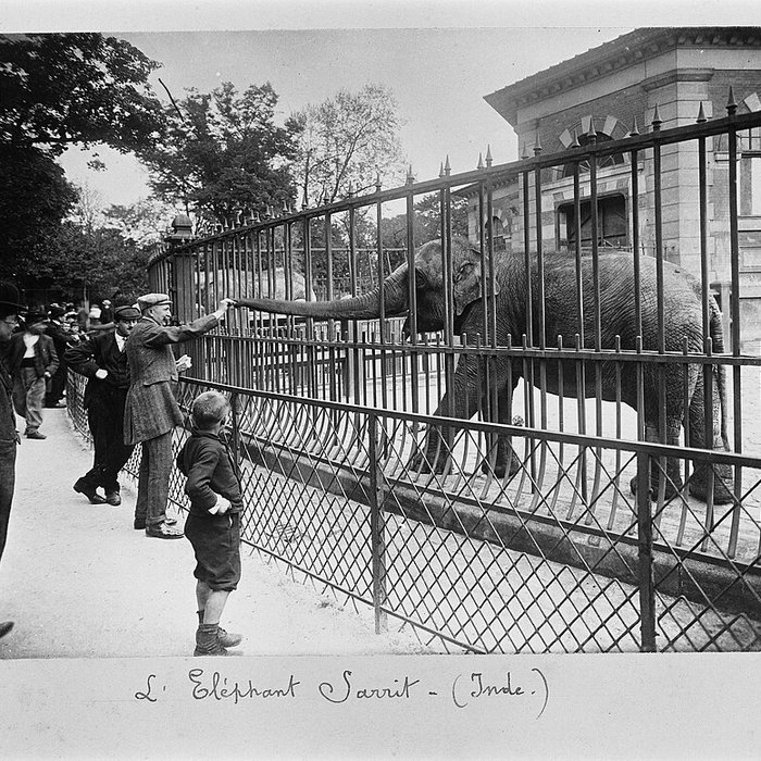 Photo de Jardin des Plantes et Museum national dHistoire naturelle