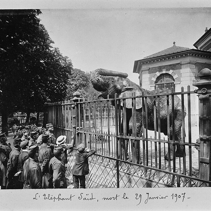Photo de Jardin des Plantes et Museum national dHistoire naturelle