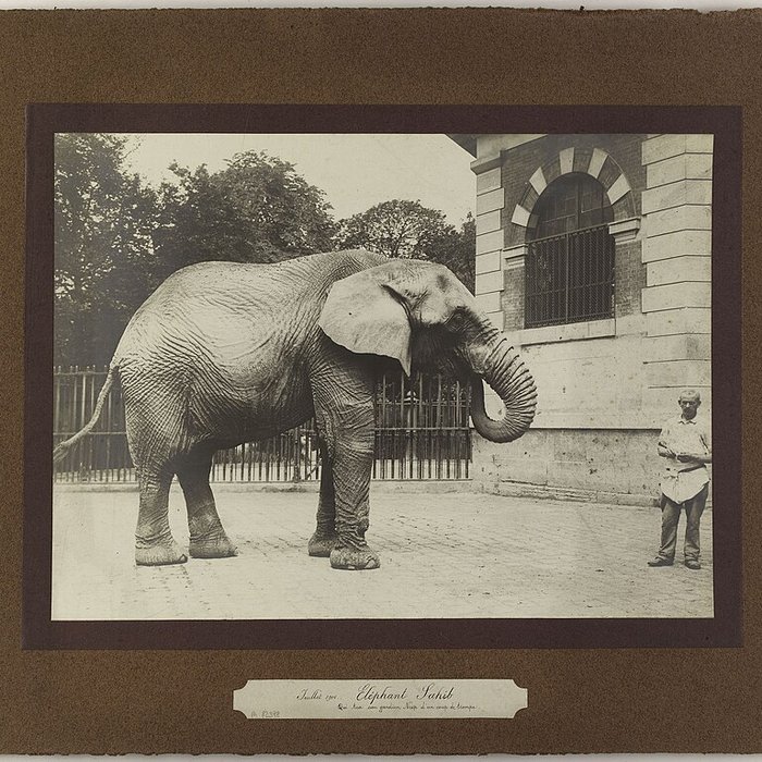 Photo de Jardin des Plantes et Museum national dHistoire naturelle