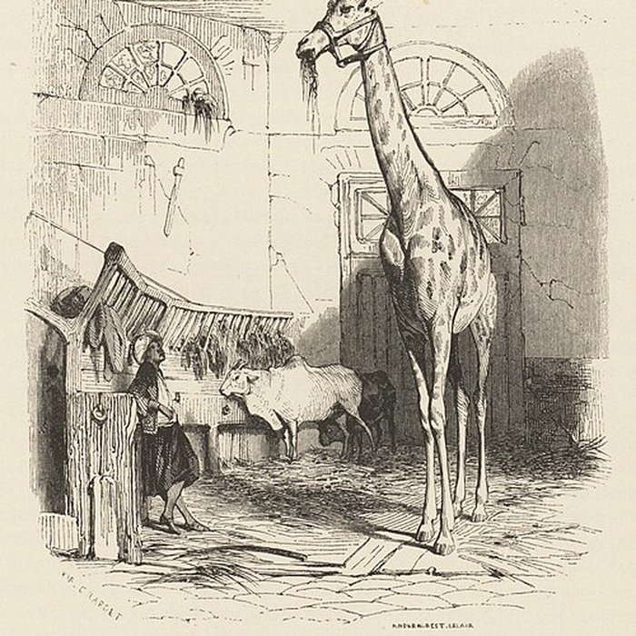 Photo de Jardin des Plantes et Museum national dHistoire naturelle