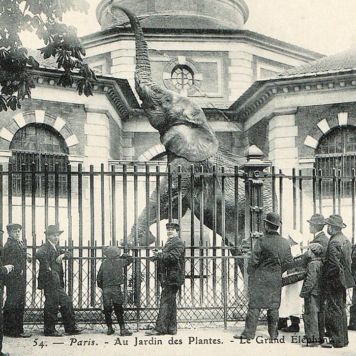 Photo de Jardin des Plantes et Museum national dHistoire naturelle
