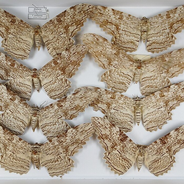 Photo de Jardin des Plantes et Museum national dHistoire naturelle