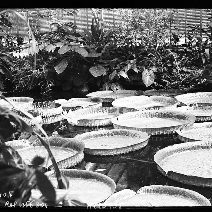 Photo de Jardin des Plantes et Museum national dHistoire naturelle