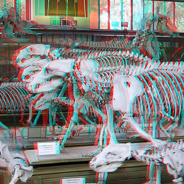 Photo de Jardin des Plantes et Museum national dHistoire naturelle