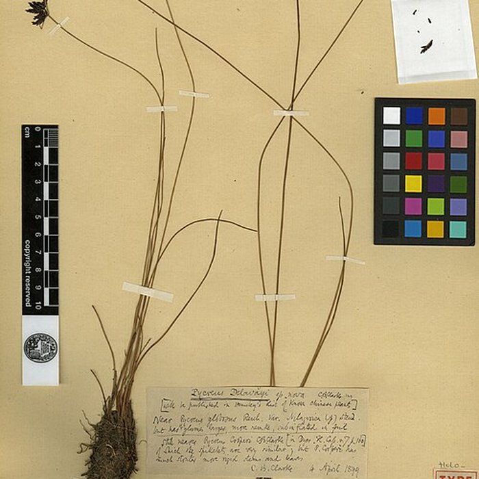 Photo de Jardin des Plantes et Museum national dHistoire naturelle