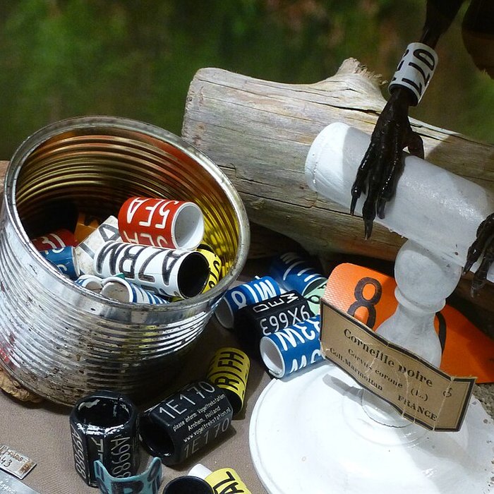 Photo de Jardin des Plantes et Museum national dHistoire naturelle