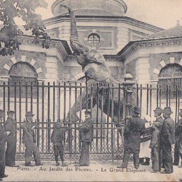Jardin des Plantes et Museum national dHistoire naturelle