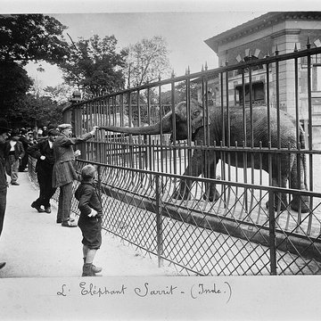 Jardin des Plantes et Museum national dHistoire naturelle