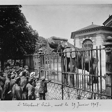Jardin des Plantes et Museum national dHistoire naturelle